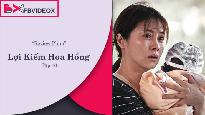 Lợi Kiếm Hoa Hồng tập 16 - Đánh Giá & Phân Tích Chi Tiết