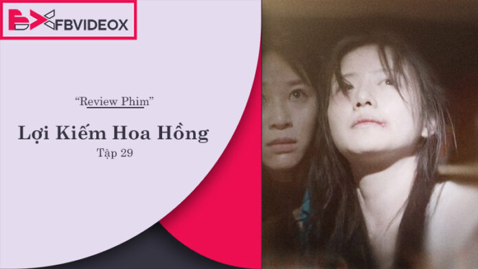 Review Lợi Kiếm Hoa Hồng Tập 29 | Địch Lệ Nhiệt Ba Tỏa Sáng