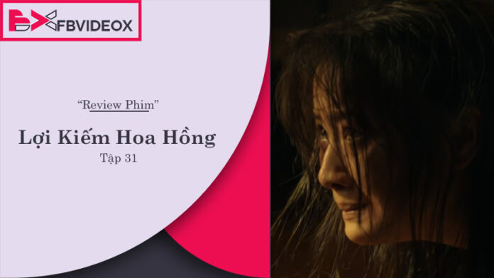 Review Phim Lợi Kiếm Hoa Hồng Tập 31